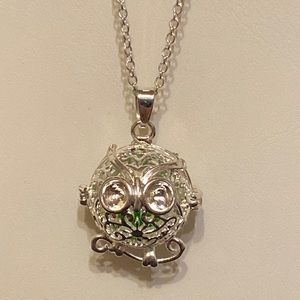 Silver Tone Angry Owl Aromatherapy Diffuser Necklace